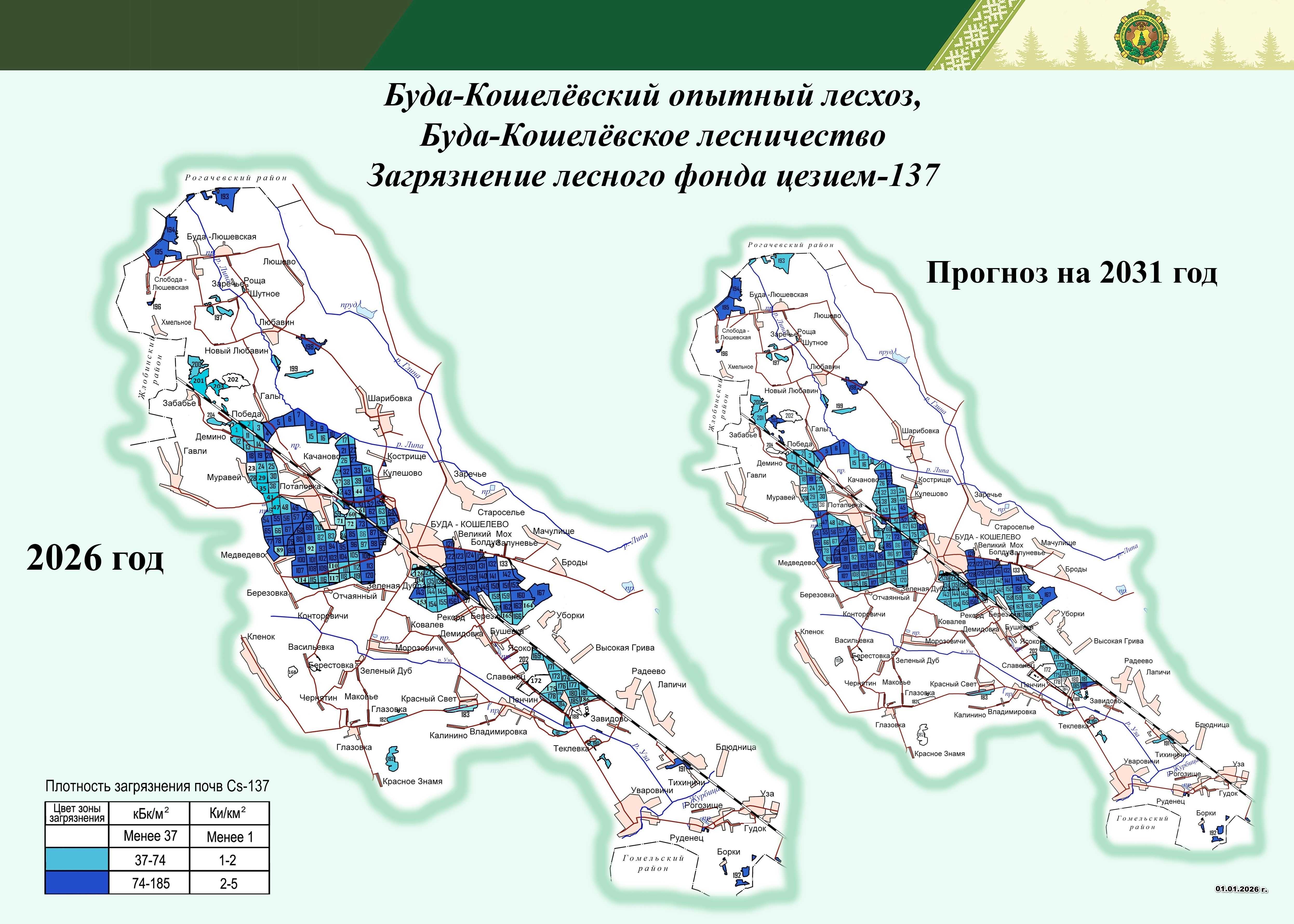  Кошелёвское лесничество 2025 2026