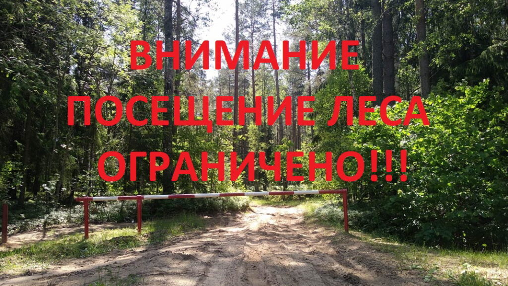  Ограничение на посещение леса 1024x576