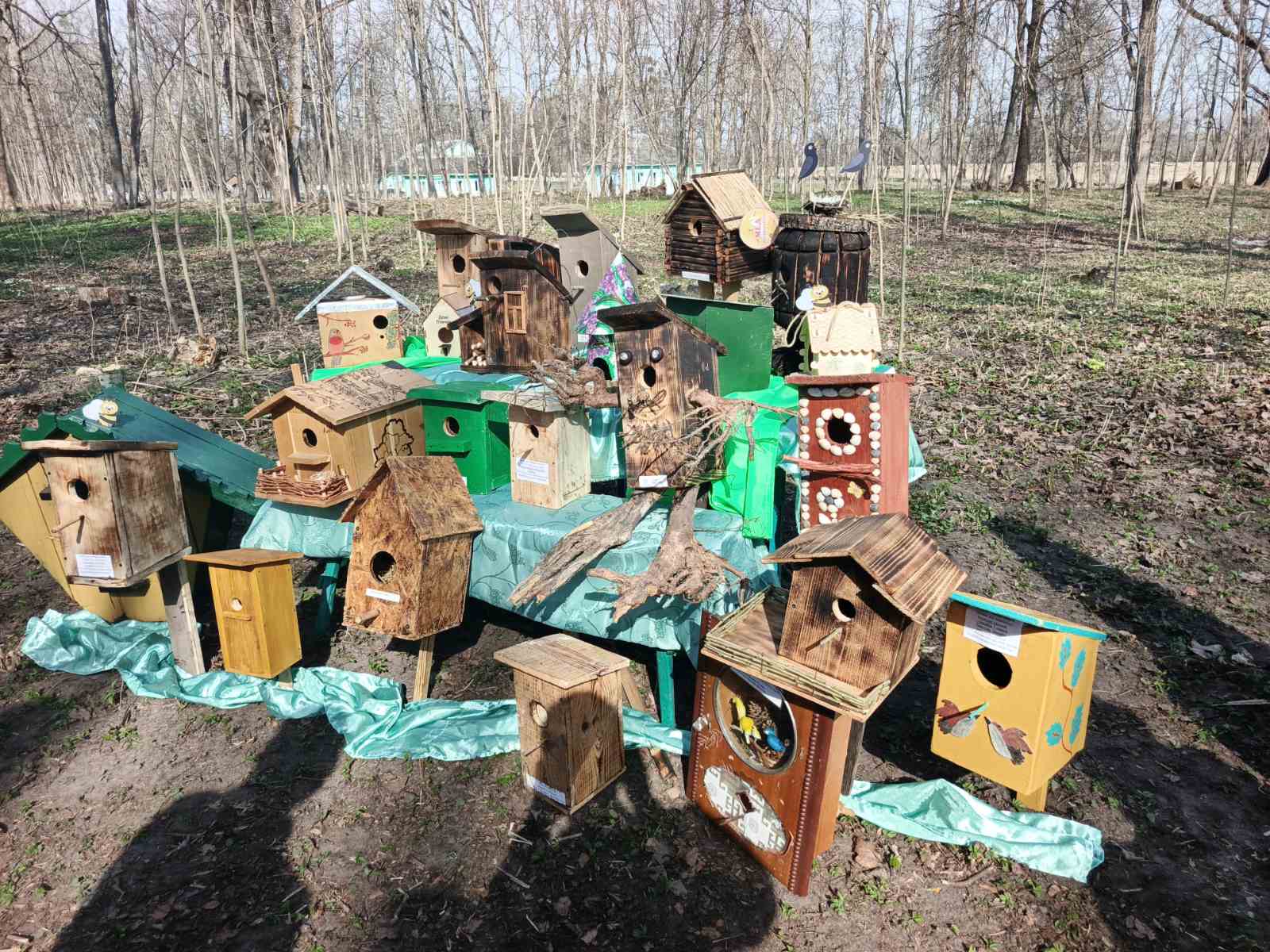  viber 2026 04 03 15 54 51 717