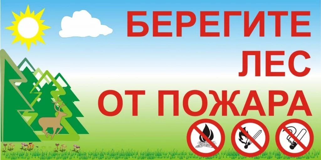  ЛЕС 13 34 31 671