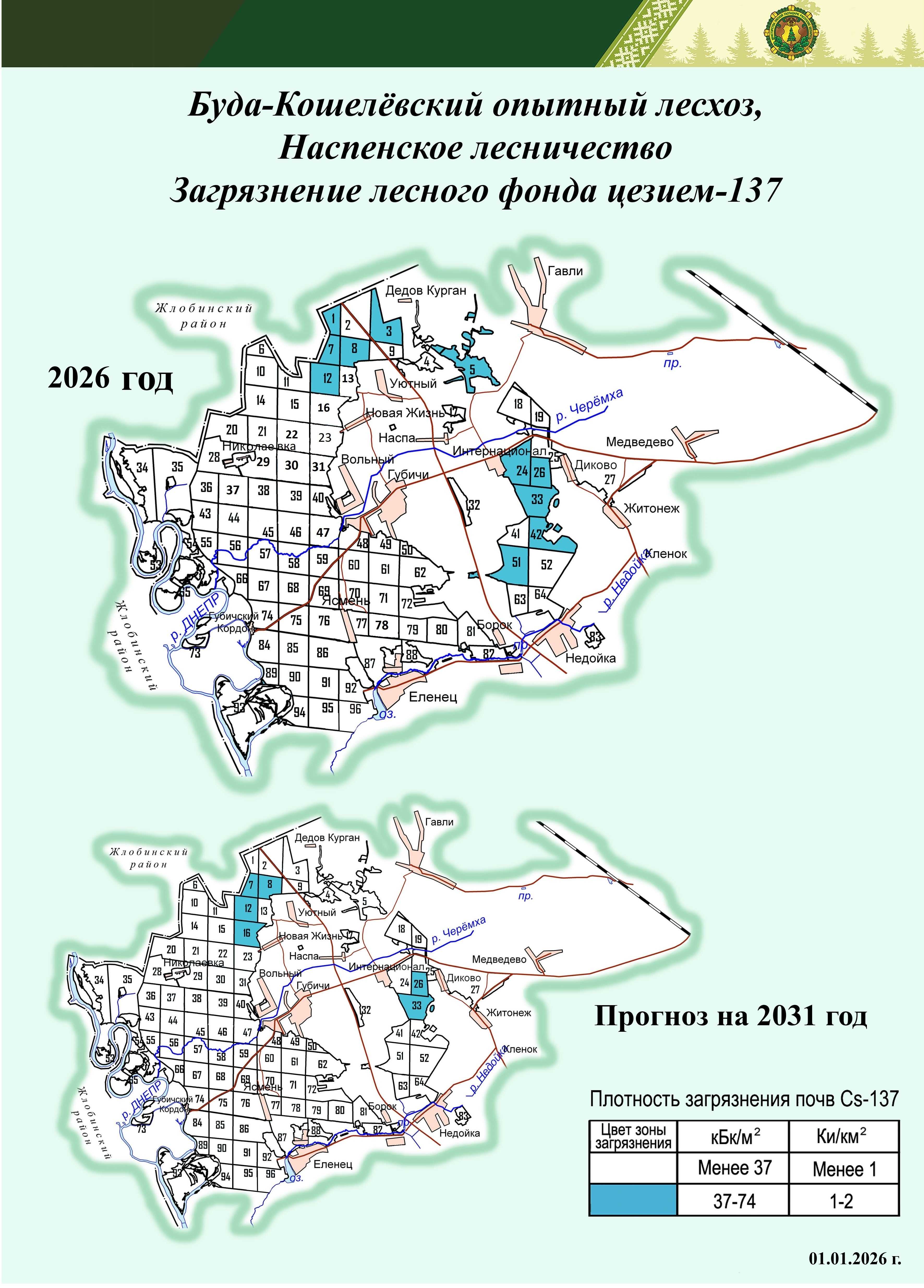  лесничество 2025 2026