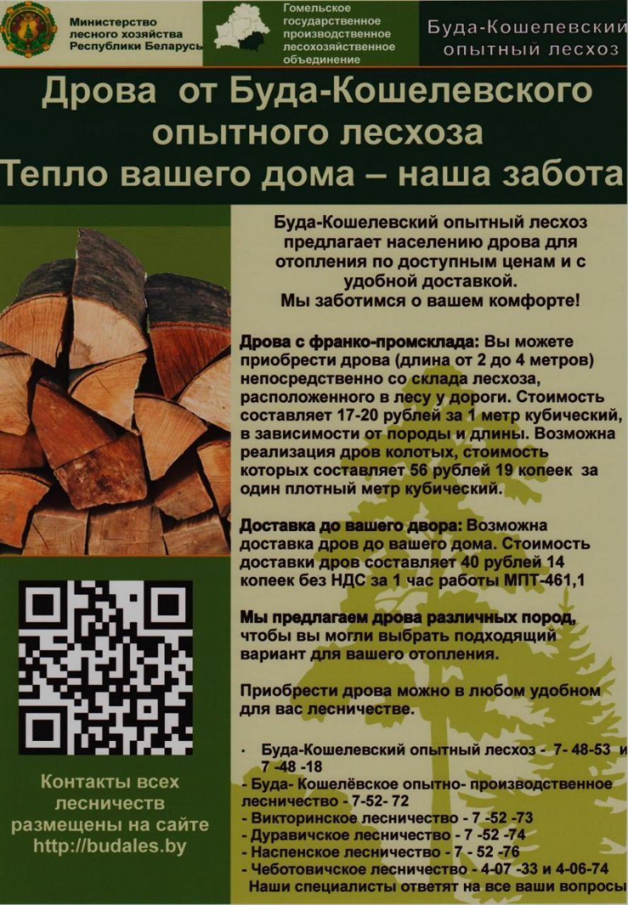 photo 2025 11 08 11 24 15