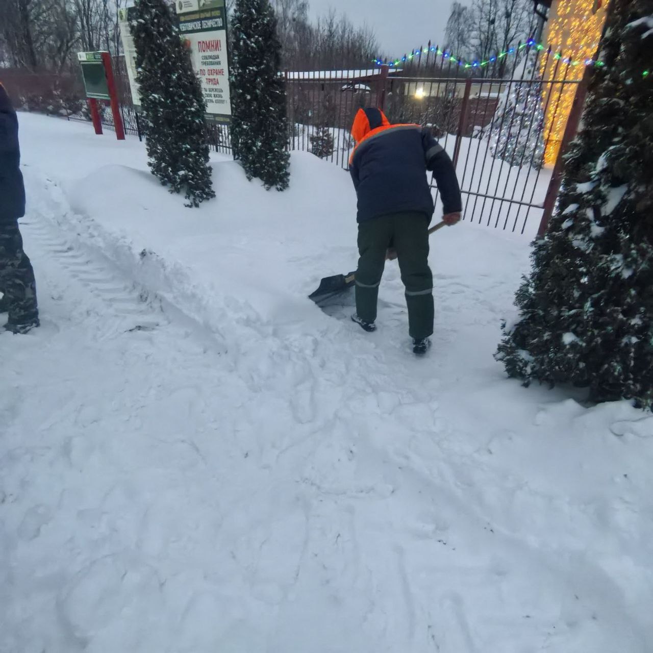 photo 2026 01 09 15 13 52