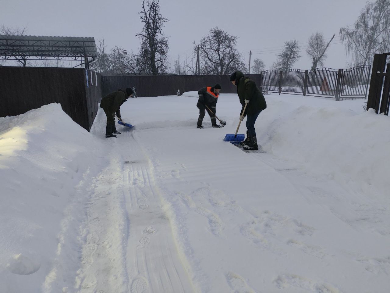 photo 2026 01 09 15 13 52 4