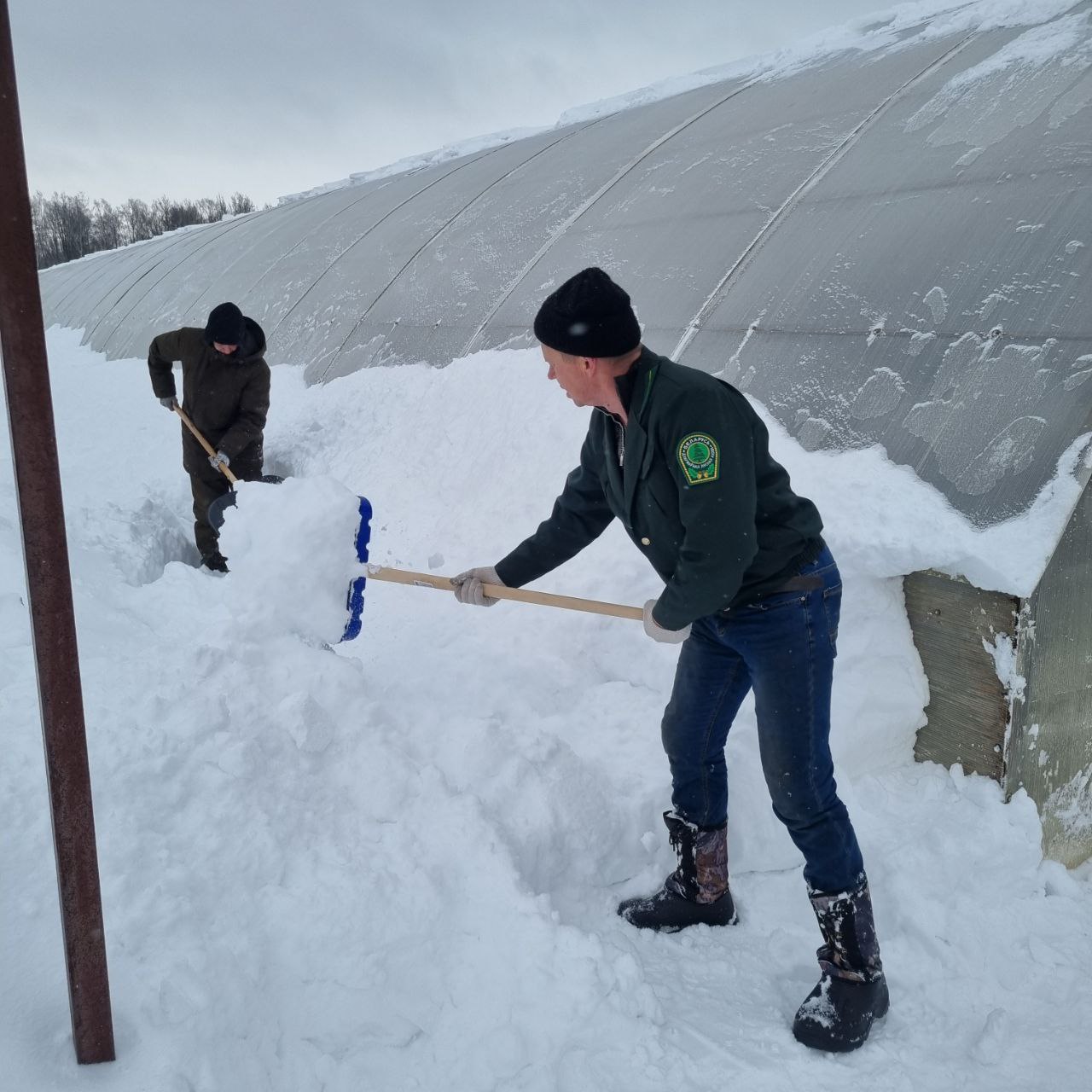 photo 2026 01 09 15 13 55 2