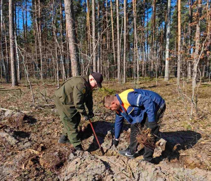 photo 2026 04 04 11 15 25 2