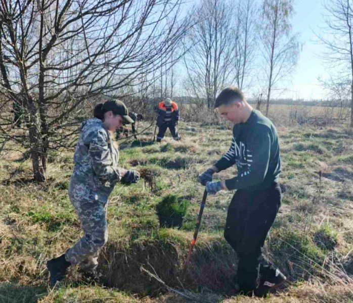 photo 2026 04 04 11 15 26