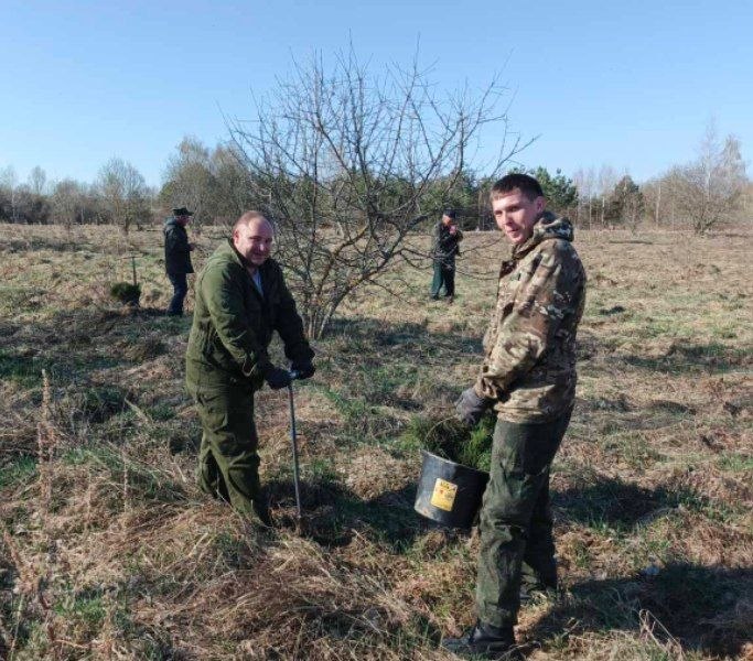 photo 2026 04 04 11 15 26 3