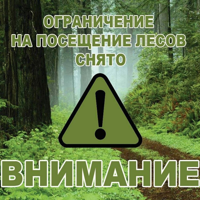 photo 2026 04 08 08 08 55