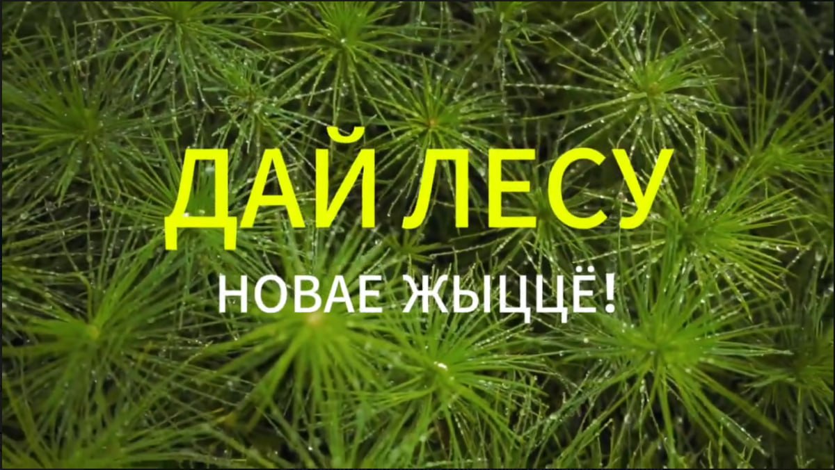 photo 2026 09 29 08 41 31