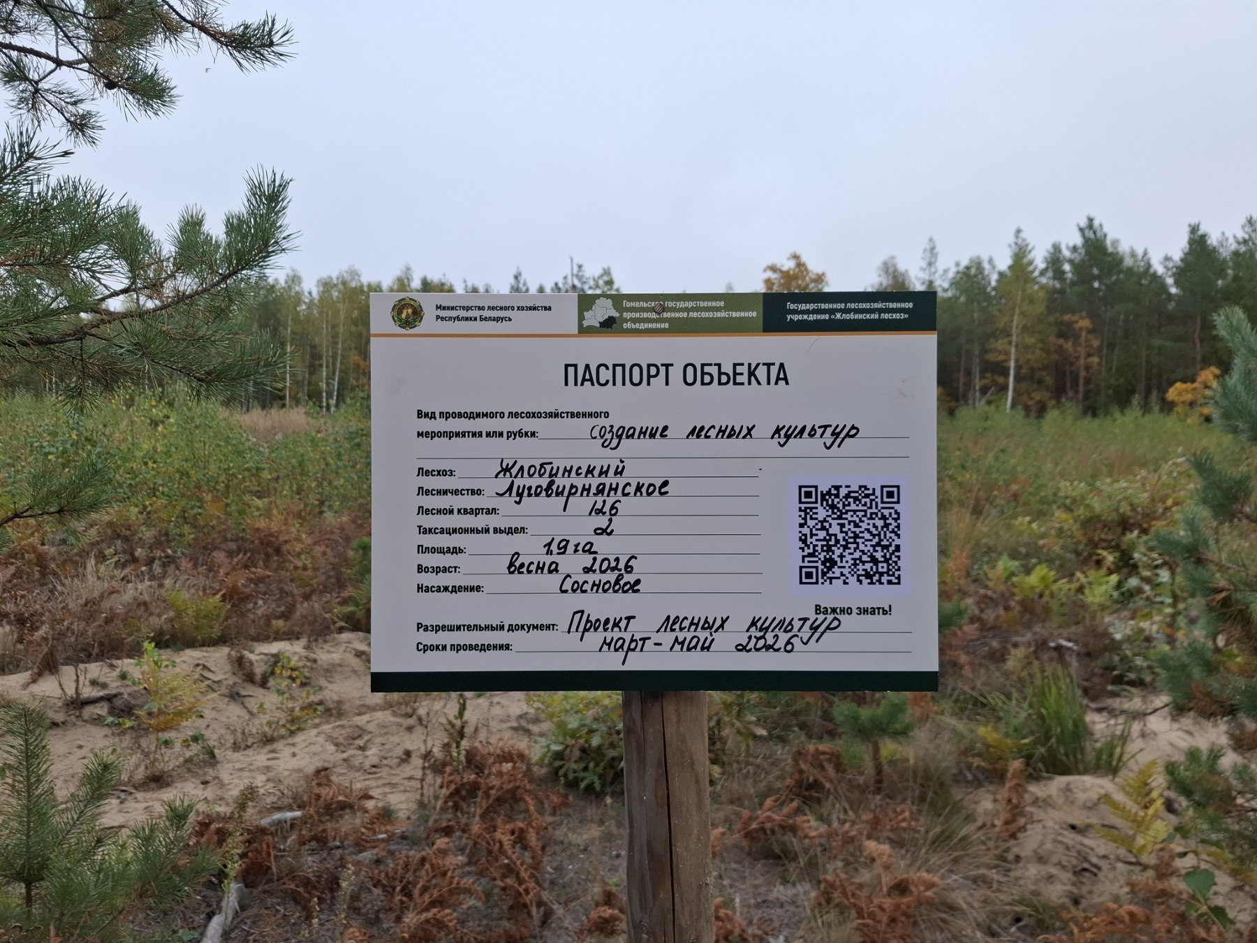 photo 2026 10 05 14 48 20