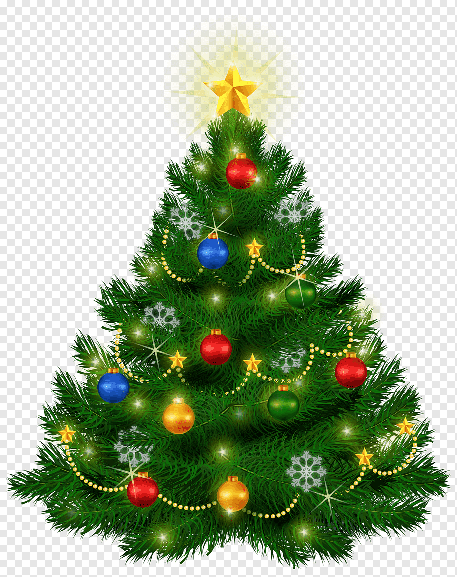 png transparent green christmas tree with baubles christmas tree beautiful christmas tree decor christmas decoration christmas card