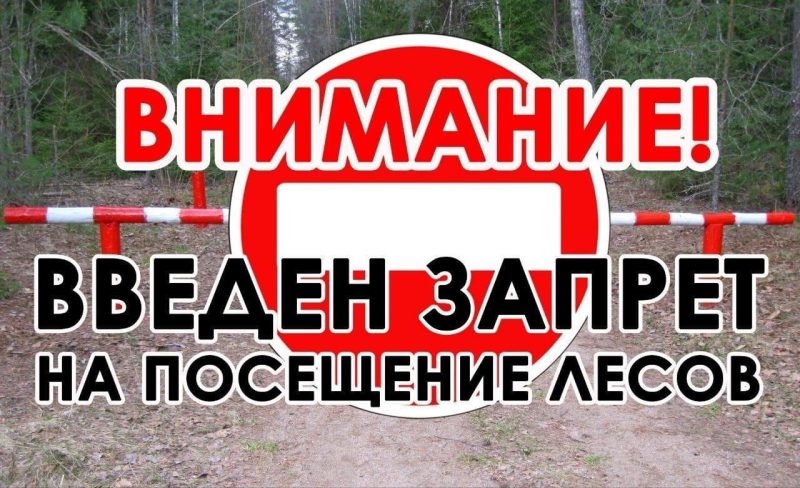 photo 2026 07 02 07 54 59 800x488
